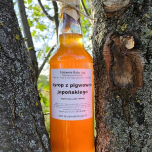 Syrop z pigwowca japońskiego 500ml