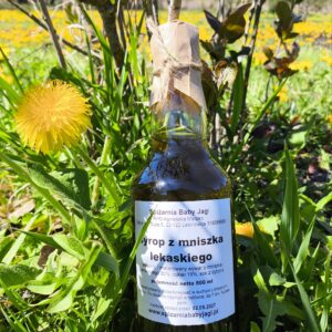 Syrop z mniszka lekarskiego 500ml
