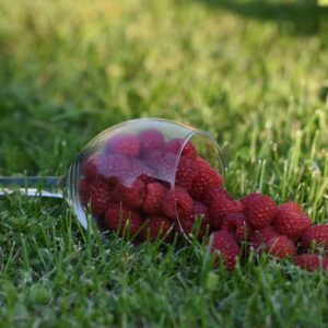 received_213257954082087