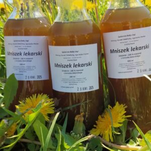 Mniszek lekarski BEZ CUKRU 500ml