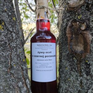 Żywy ocet z czarnej porzeczki 500ml
