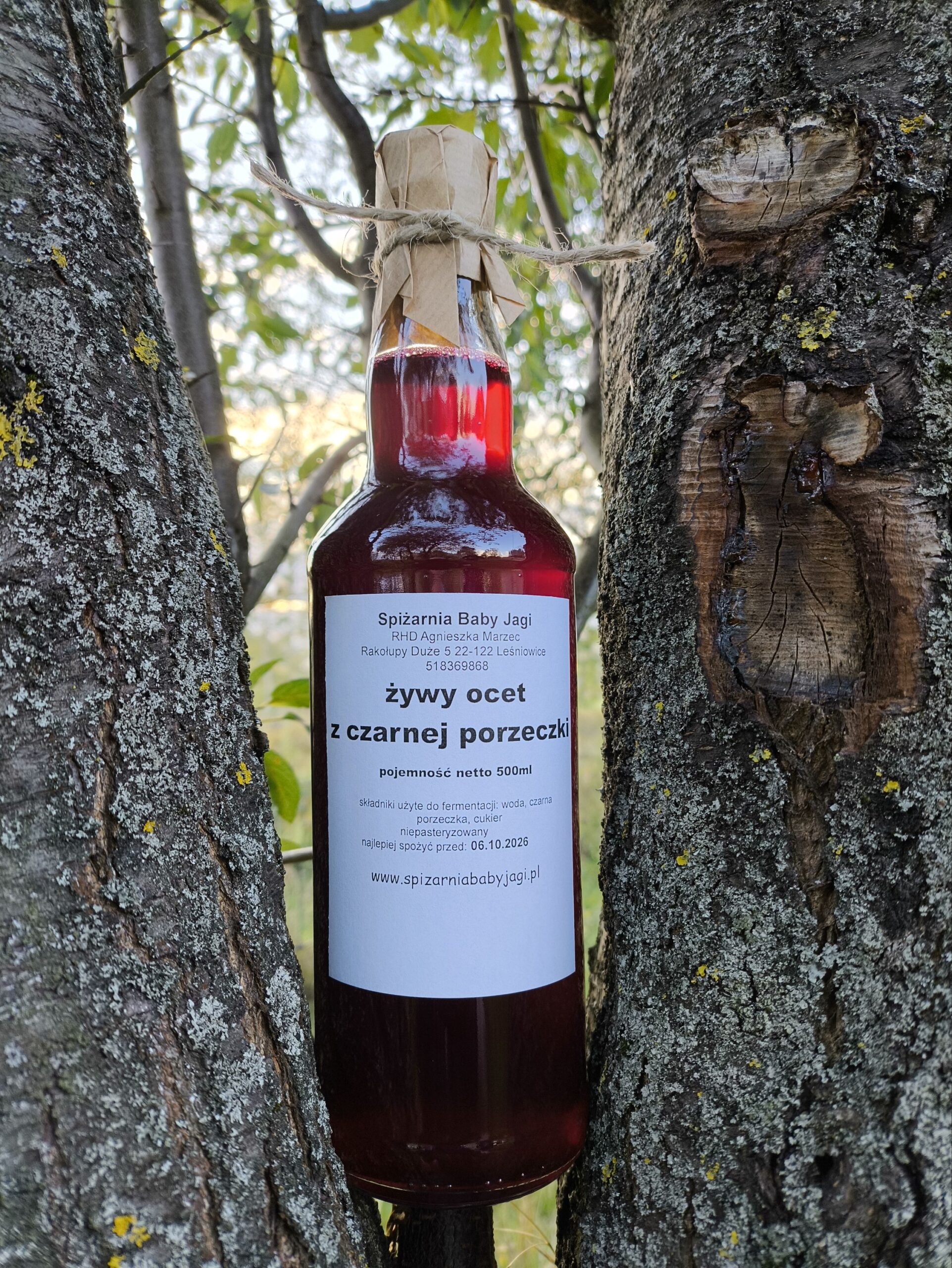 Żywy ocet z czarnej porzeczki 500ml