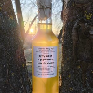 Żywy ocet z pigwowca japońskiego 500ml