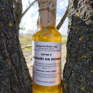 Syrop z moodunki na miodzie 200 ml