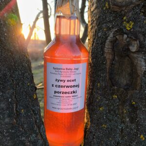 Żywy ocet z czerwonej porzeczki 500ml